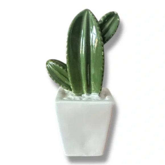 Cactus decor - Picture 3 of 3